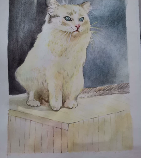 接稿，接单＃速写地址 ＃临摹照片＃动物画动...