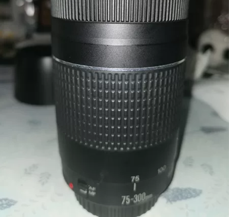 佳能75—300打鸟镜头 今年四月在京东1...