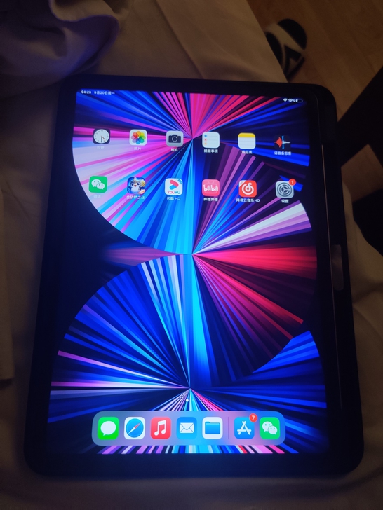 ipadpro2021银色国行WiFi版 ...