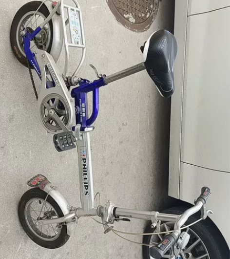 菲利普儿童自行车成色新,也没咋骑孩子大了用...
