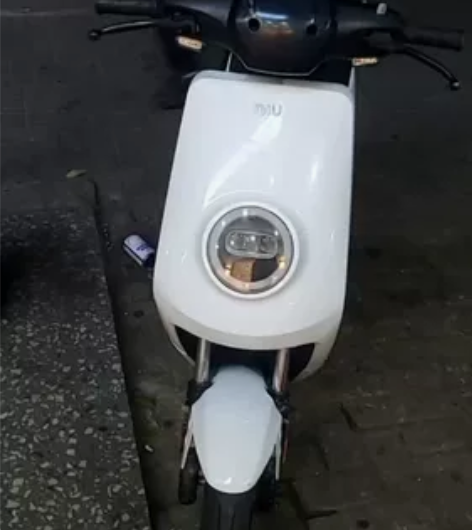 小牛电动  小牛m＋青春版  速度40  ...