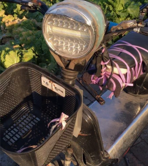 珍品收藏，世界唯一 感兴趣的话点“我想要”...