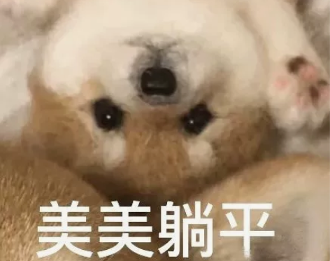 中北大学计算机大数据811数据结构资料，包...