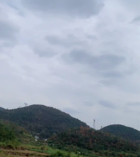 ME-262遥控飞机,双50mm11叶大推...