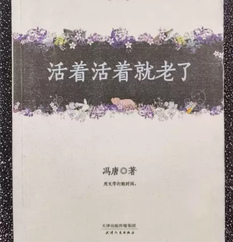 活着活着就老了   冯唐   天津人民出版...