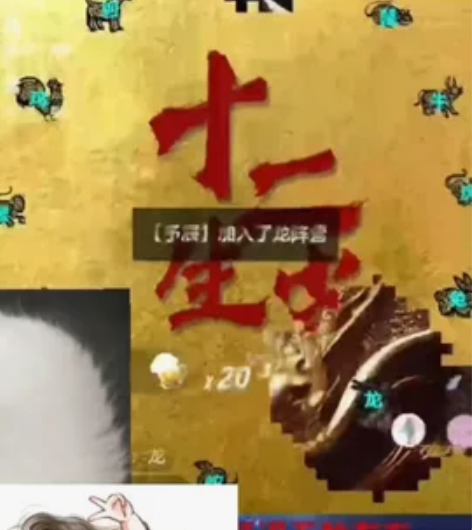 三体弹幕游戏，多功能自定义，12生肖皮肤 ...