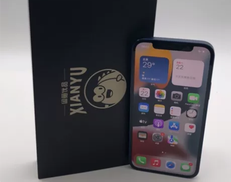 Apple/苹果 iPhone 12  二...