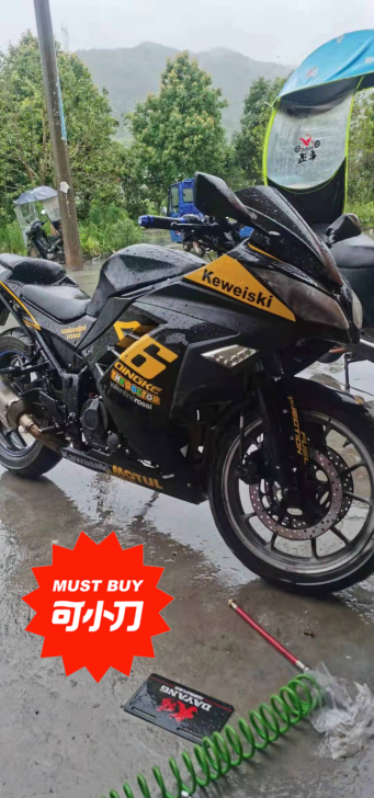 小忍者双杠400cc车况没问题到手直接骑保...
