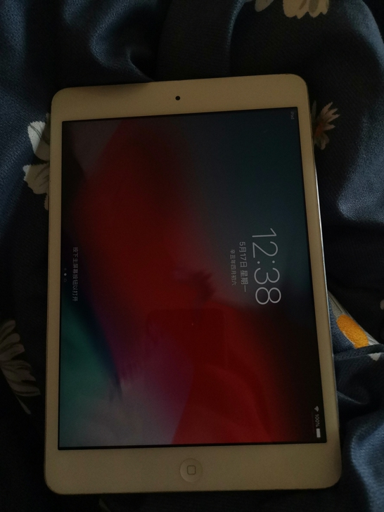 ipadmini2，成色看图，看一会屏幕会...