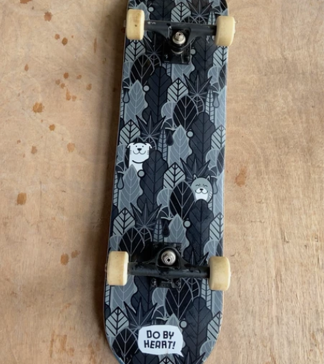 DBH专业滑板儿童初学者青少年成人男女生王...