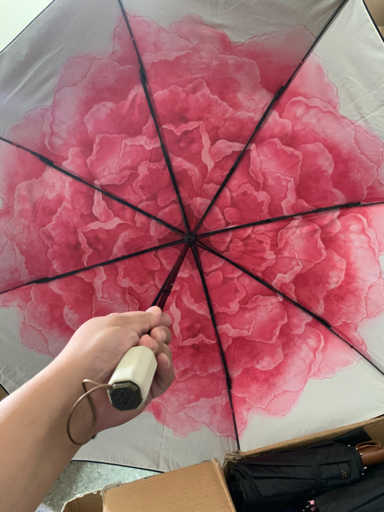 【正品】三折双层蕉下伞（款式不间断更新）