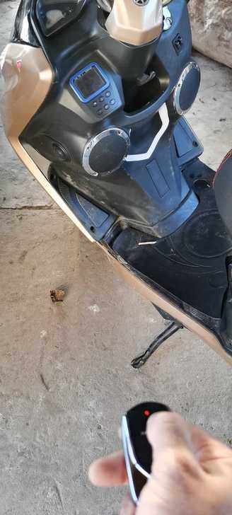 我是仁寿县禄加的，要买的来家里看。