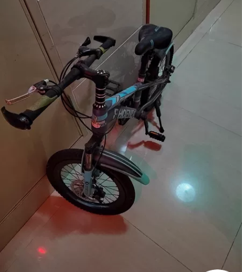 【双11狂欢价】凤凰儿童自行车6-10-1...