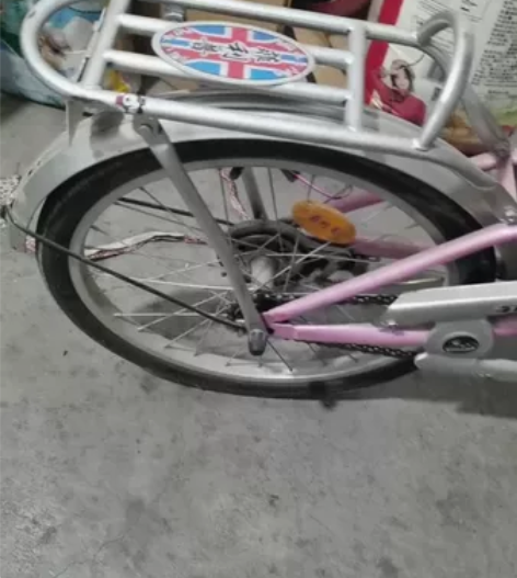 闲置菲利普女式自行车，24寸买来没怎么骑过...