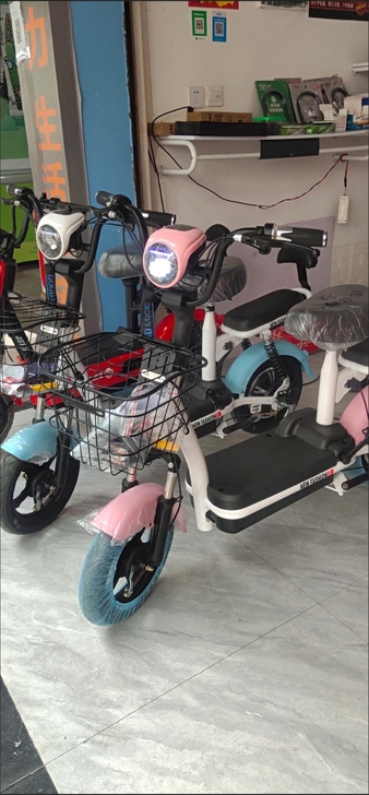 成人电瓶车48V电动自行车男女双人特价电动车