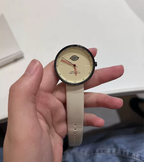 dickies手表，无损坏，要换表所以转卖...