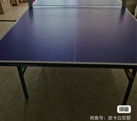 【清仓处理】 乒乓球桌国际标准尺寸室内家用...