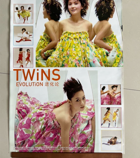 Twins，进化论，专辑正版宣传海报，实物...