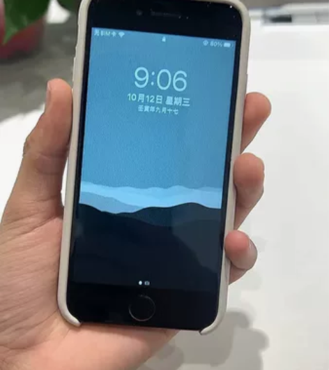 苹果小8 可以说是非常的板正 一直是自己用...