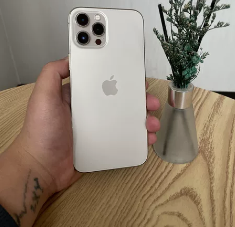 女生自用12ProMax?256G?? 不...