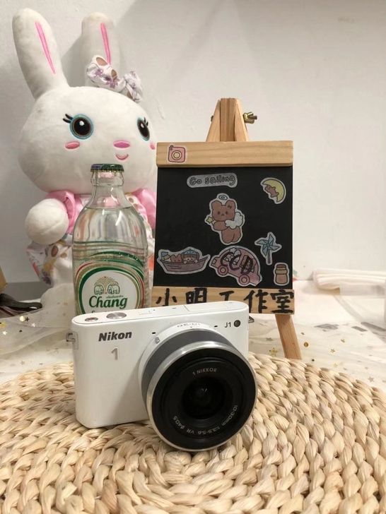 微单  尼康j1