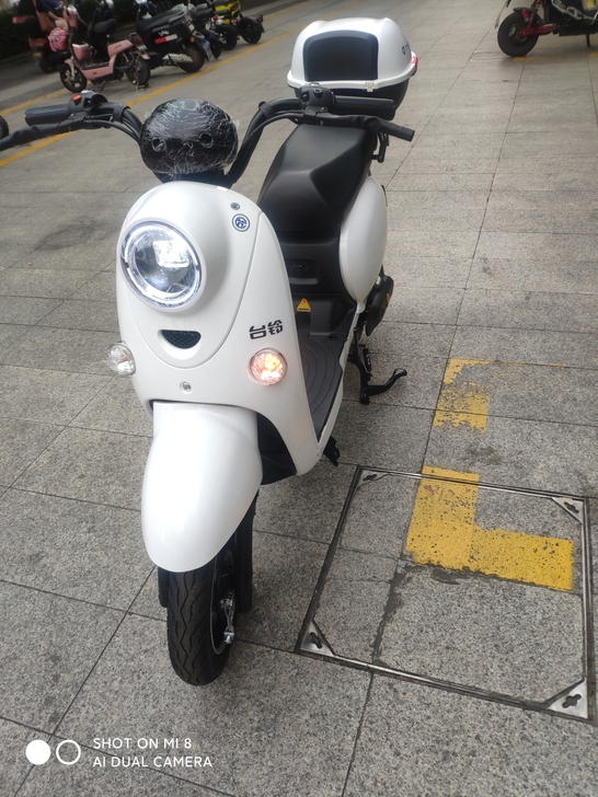 出租全新国标电瓶车