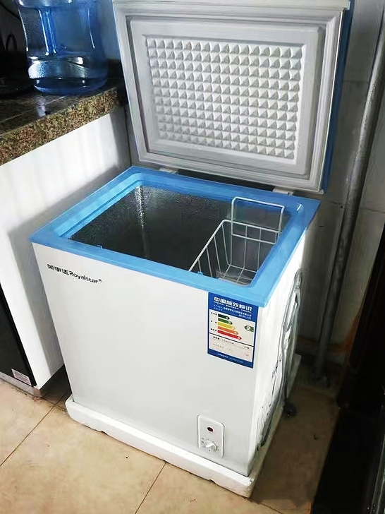 全新荣事达175L小冷柜家用商用大容量冷冻...