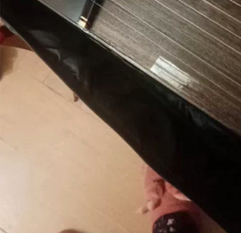 辽宁鞍山。龙凤古筝，闲置转让。1000元。...