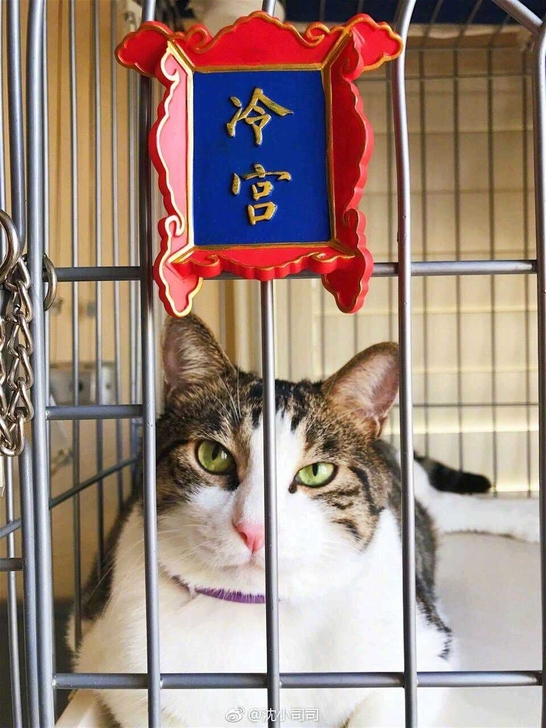 牌匾冰箱贴