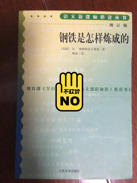 《钢铁是怎样炼成的》