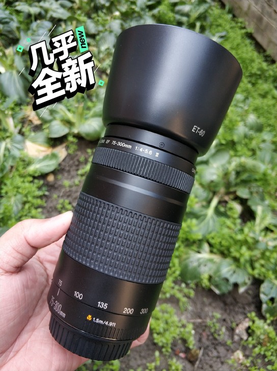 佳能 EF 75-300 4-5.6 II...