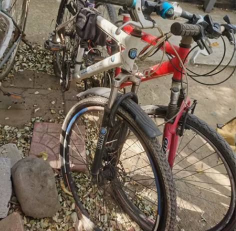 公路车自行车欧洲品牌:洛克菲勒 只出白色那...