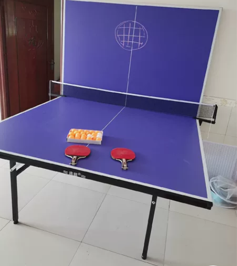 乒乓球桌室内家用乒乓球台国标兵乓球案子双鱼...