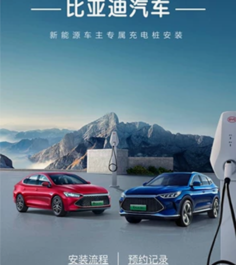 BYD/比亚迪比亚迪原厂充电桩，本人21年...