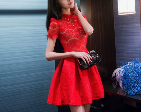 春季女装新款气质立领短袖蕾丝连衣裙 蓬蓬裙...
