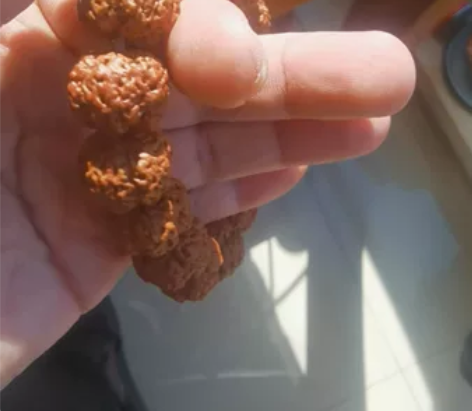 古龙铁籽蜂王大金刚,平头凹底,矮桩五爪梅花...