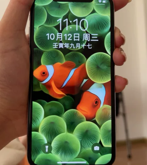 iPhone X 全网通 未拆机 64g内...