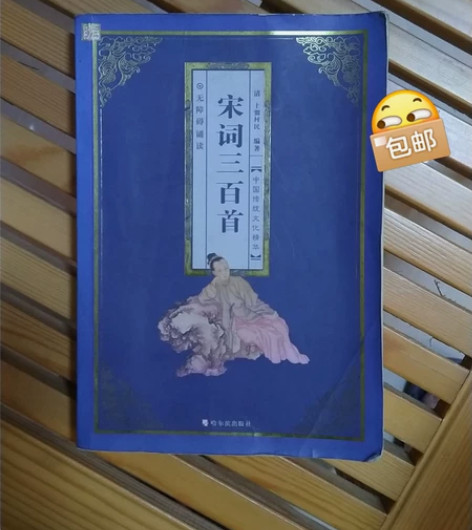 宋词300首。九成新,内有精美插画,十分漂...
