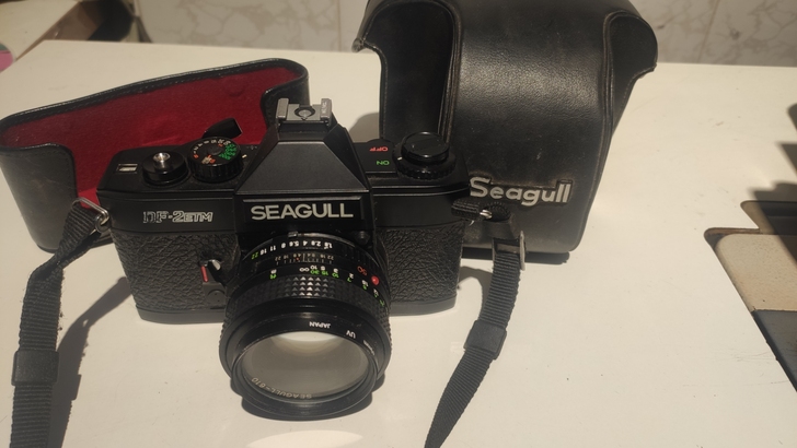 海鸥 DF-2 ETM 送一个镜头! 胶卷...