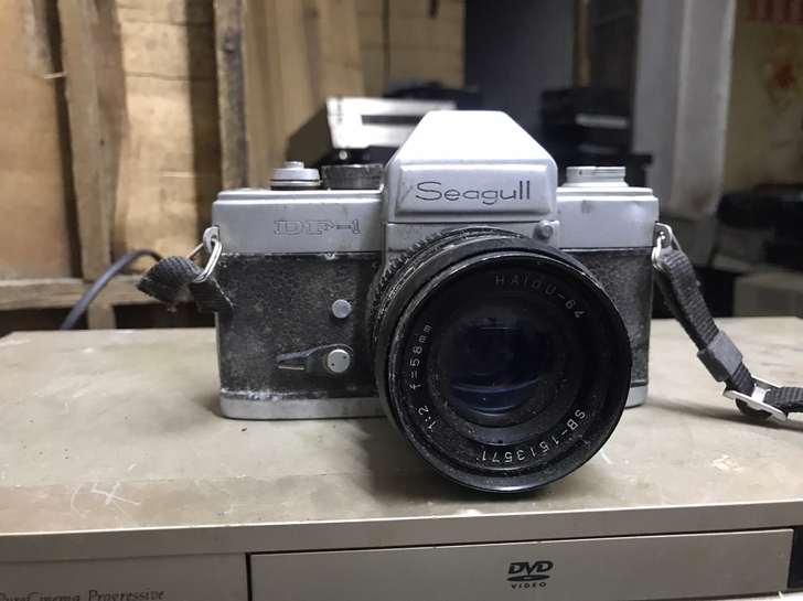 海鸥相机