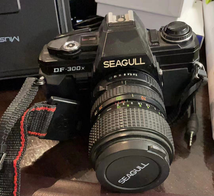 海鸥seagull df 300单反相机（...