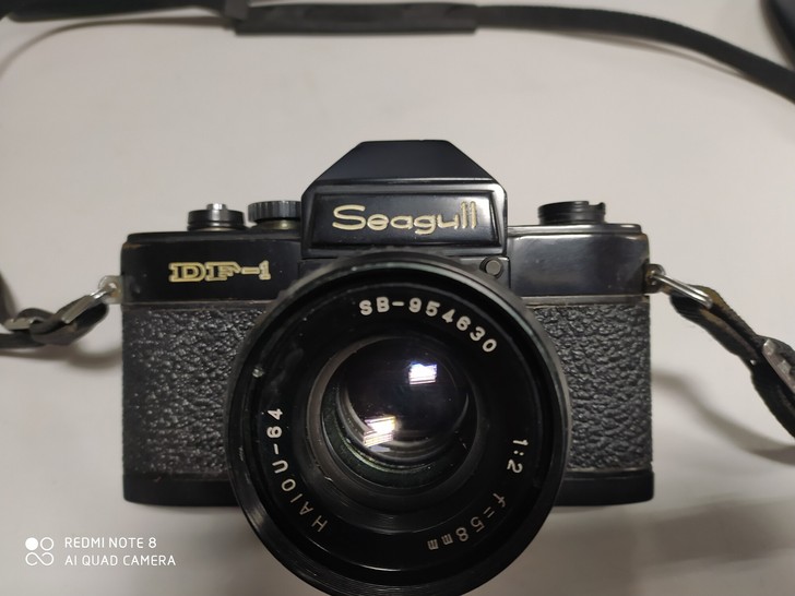 黑色海鸥DF-1相机，不太常见的品种，功能...