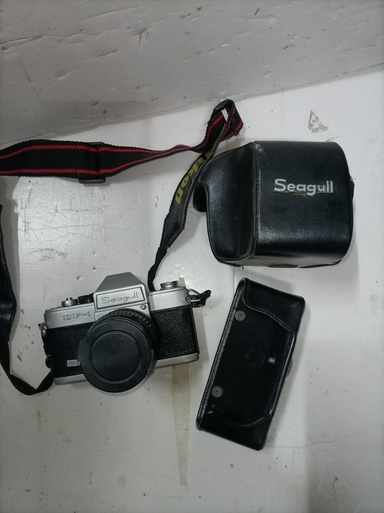 海鸥DF－1照相机！188不包邮，保存的不...