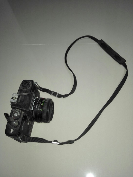 海鸥DF-2照相机，实物实拍图