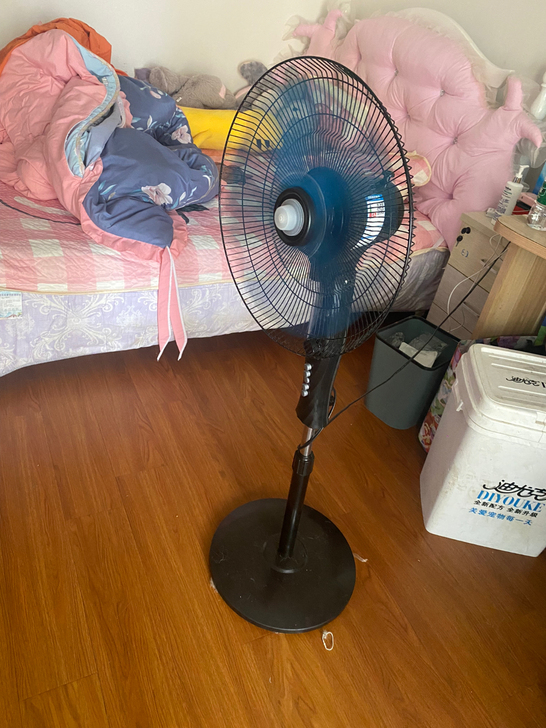 电风扇站立的