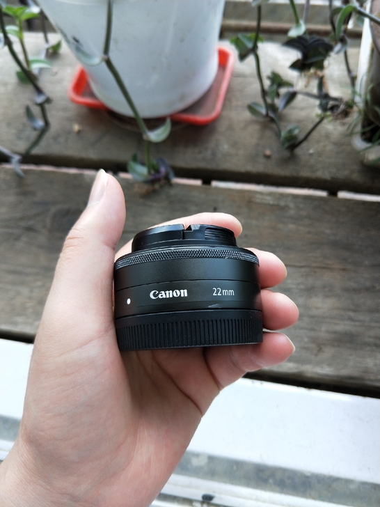 佳能22mm f2饼干镜头，细节图已拍，个...