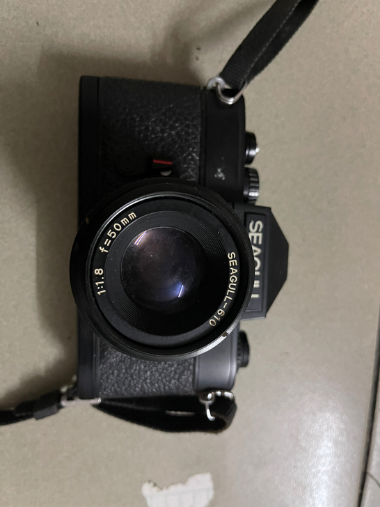 海鸥相机，成色如图一样