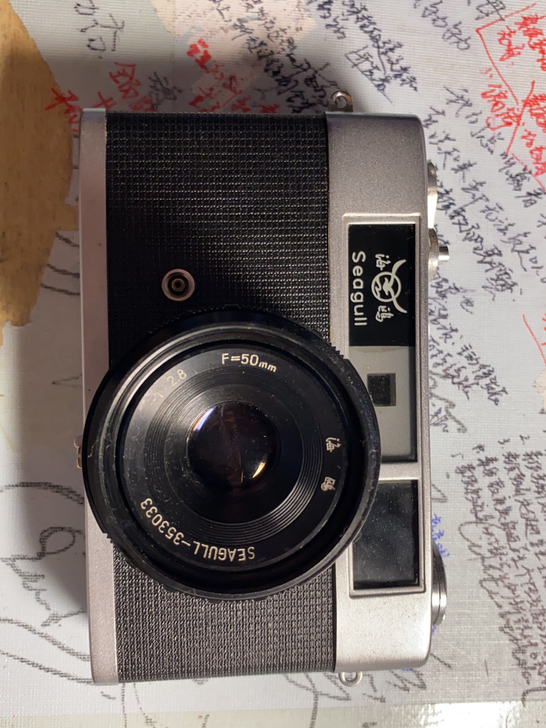 海鸥205旁轴相机 成色较新 家里私藏 偷...