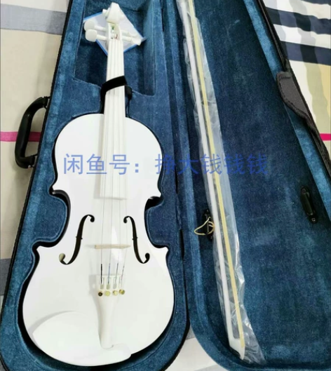 【捡漏琴行原300多小提琴清仓处理】送全套...