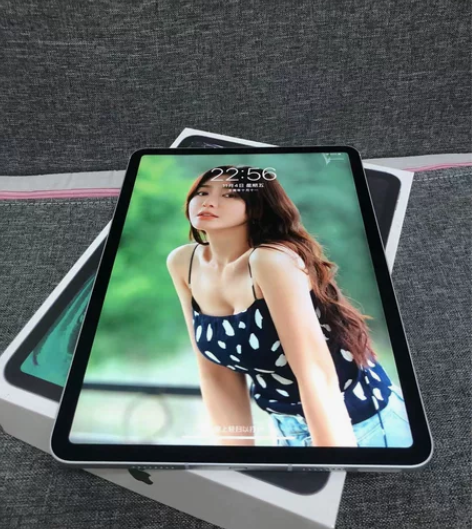 21款iPad Pro11寸 wifi+插...